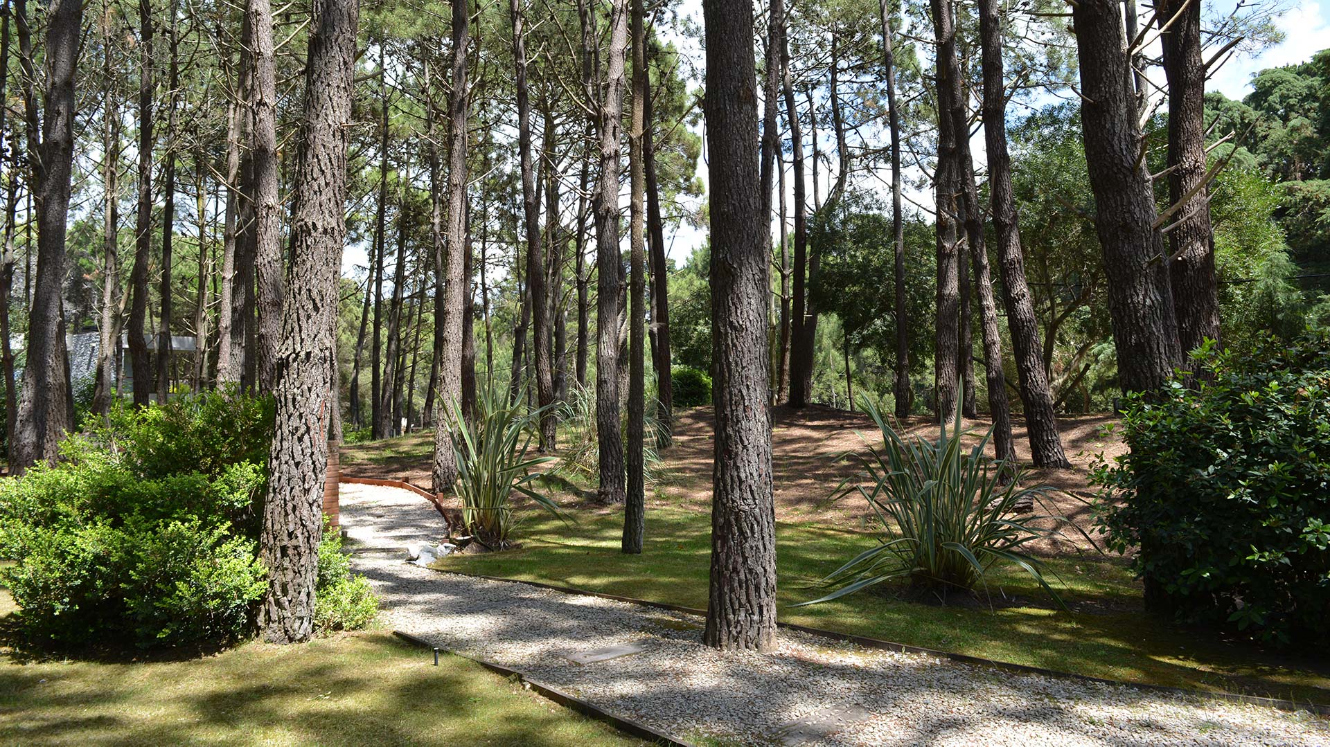 Camino Ingreso La Serena de las Pampas